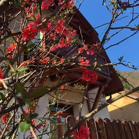 דירה Chill House מישקולץ